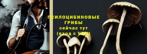 apvp Беломорск