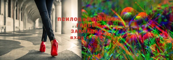 apvp Беломорск