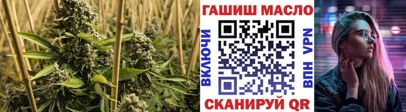 ТГК Wax  OMG онион  Котлас 