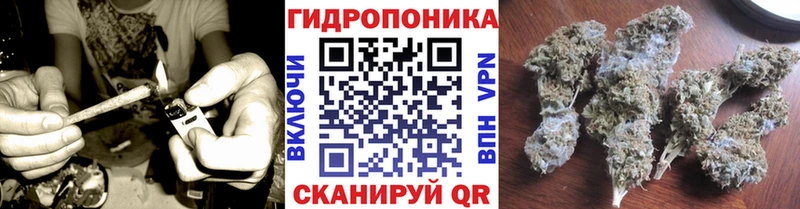 Каннабис OG Kush  хочу наркоту  Котлас 